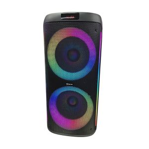 Musikbox 1000 W mit LED & Akku