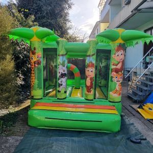 Hüpfburg Jungle – farbenfroher Hingucker für Kindergeburtstage & Events