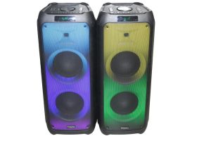 2x Musikbox 800 W mit LED