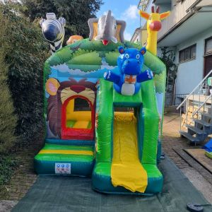 Hüpfburg kleiner Jungle mit Rutsche – kompakt, vielseitig & perfekt für Kinder