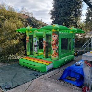 Hüpfburg Jungle – farbenfroher Hingucker für Kindergeburtstage & Events