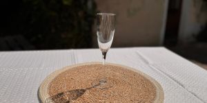 Sektgläser 0,2 Liter – 40 Stück Set