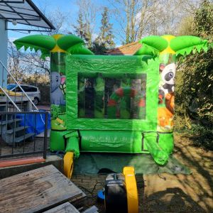 Hüpfburg Jungle – farbenfroher Hingucker für Kindergeburtstage & Events